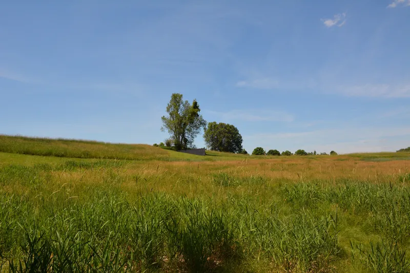 Stormking