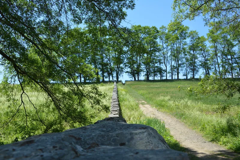 DSC_5609.jpg